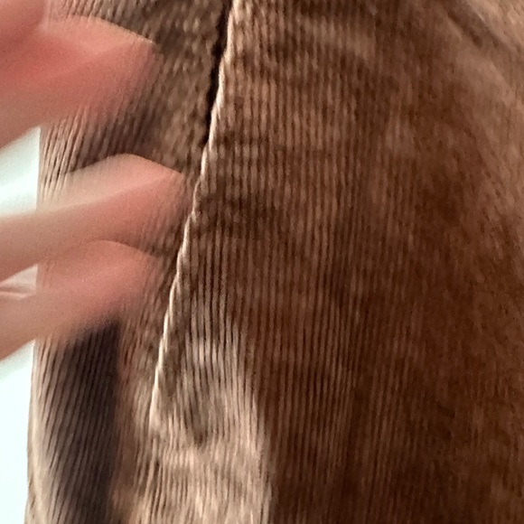 Pilcro Corduroy Pants in Warm Brown - Picture 3 of 6